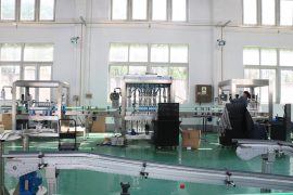 Фабричен изглед